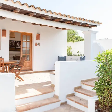 Petunia Ibiza (adults Only)