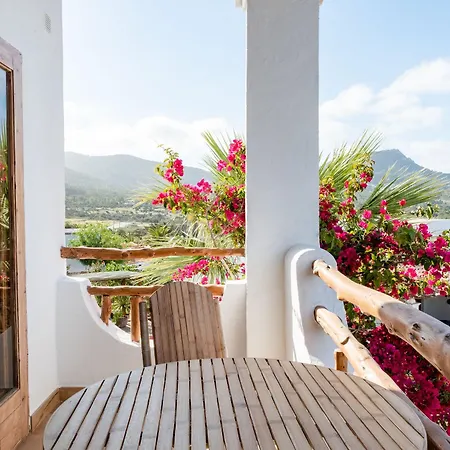 Hotel Petunia Ibiza (adults Only)