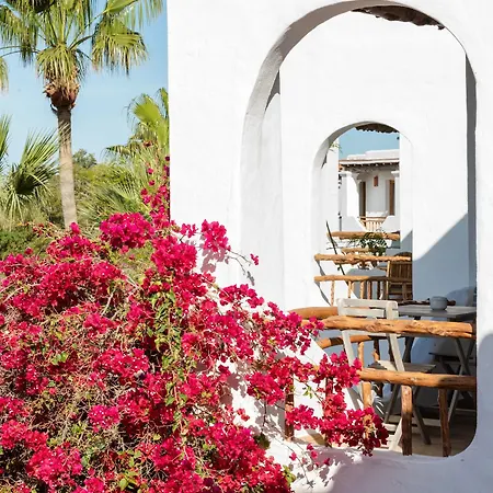 Hotel Petunia Ibiza (adults Only) Cala Vadella (Ibiza)