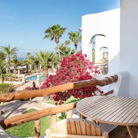 Petunia Ibiza (adults Only) Hotel 3*