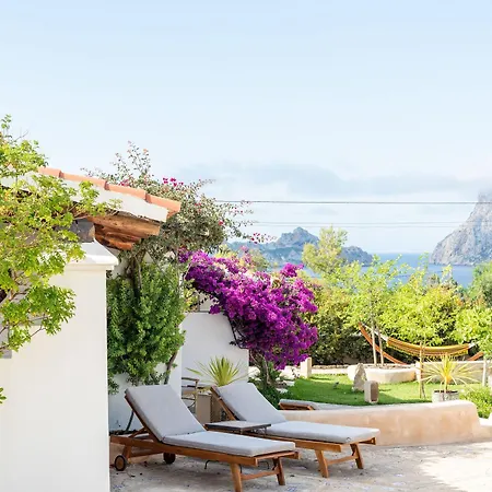 Petunia Ibiza (adults Only) Hotel 3*