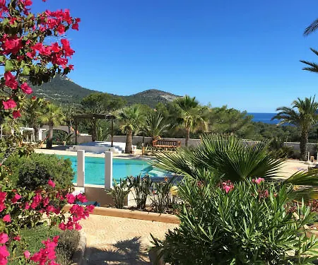 Petunia Ibiza (adults Only) 3*