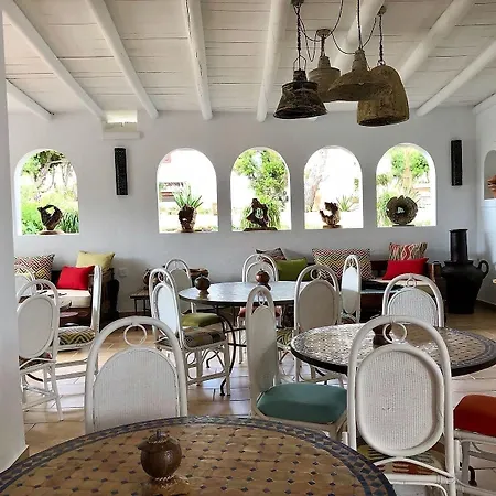 Petunia Ibiza (adults Only)