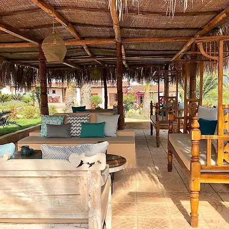 Petunia Ibiza (adults Only) Hotel 3*