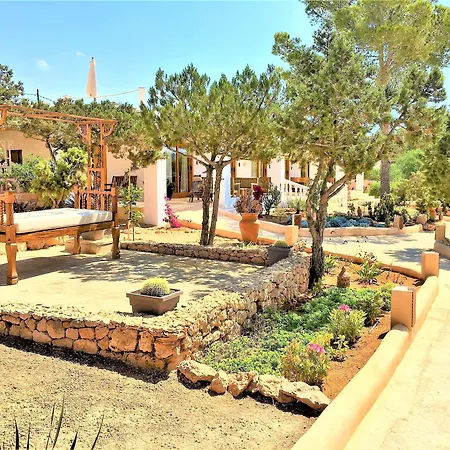 Petunia Ibiza (adults Only)