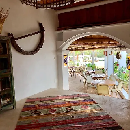 Petunia Ibiza (adults Only) 4* Sant Josep de sa Talaia